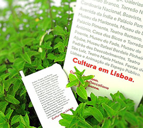 Bloco Cultura em Lisboa